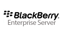 blackberry Enterprise Service png logo